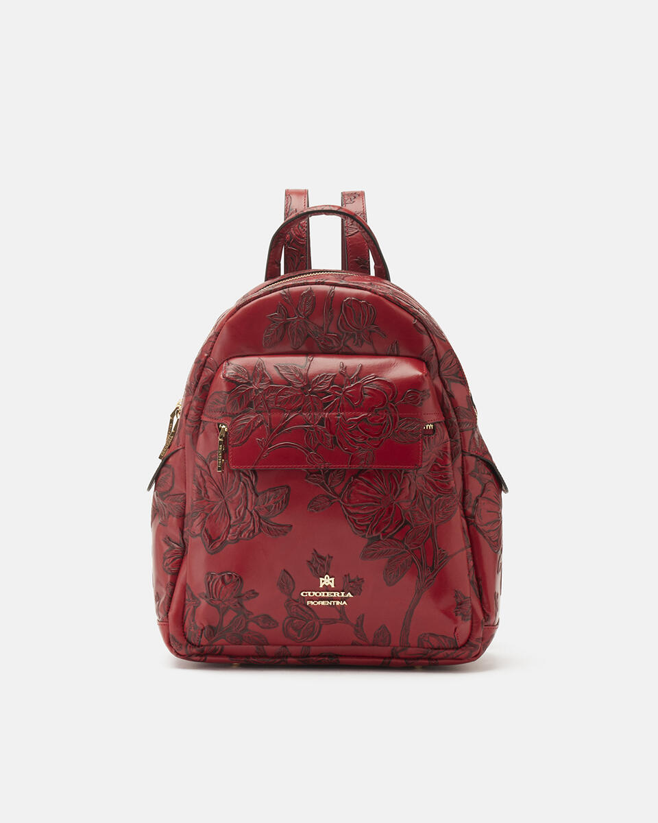Backpack Backpacks